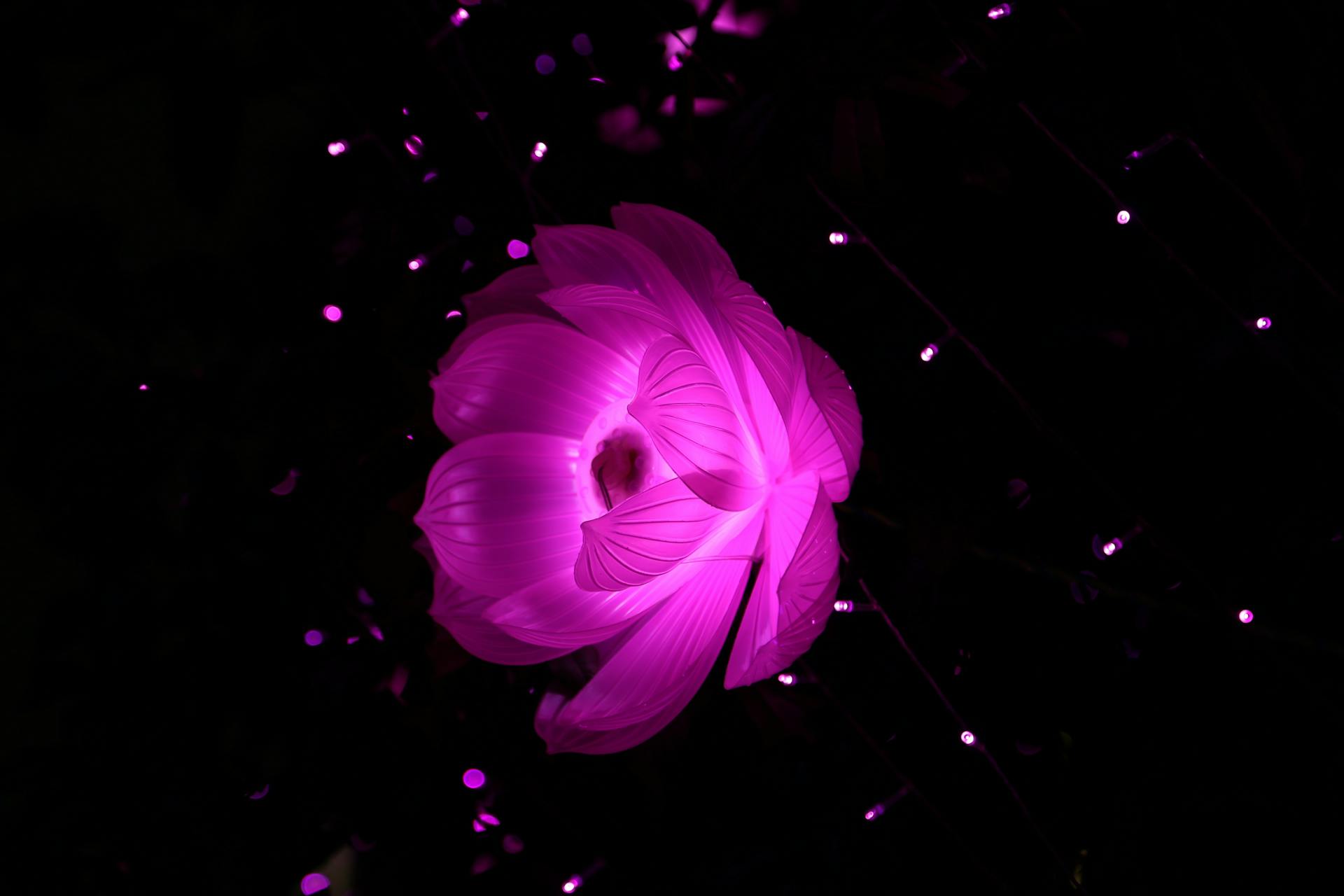 The Role of EI in Effective Leadership